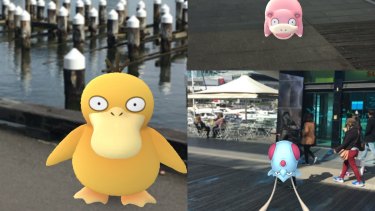 The proof: a Places Victoria spokesman snapped this photo of Pokemon at the Docklands on Saturday afternoon.