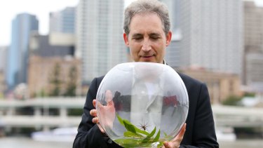 World Science Festival founder Brian Greene with the spider, Dolomedes briangreenei.