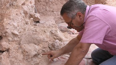 Dr Jean-Jacques Hublin with a new find at Jebel Irhoud - a crushed human skull.