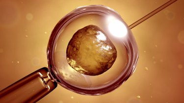 A human embryo.