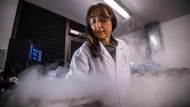 Dr Karen Sommerville removes seed material out of a liquid-nitrogen-cooled storage chamber at the Australian PlantBank.