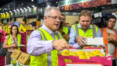 Federal Treasurer Scott Morrison (front left) and Craig Laundy visit the Sydney Markets in Homebush in 2017. 