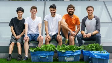 Canberra Startup Develops Visual Sensor Technology For Home Food Gardens