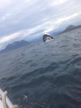 The whale watching vessel, the MV Leviathan, sank off the coast of Tofino with 27 people on board.