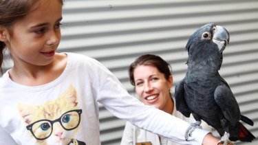 Parrot Preschool Teaches Pet Owners How To Bond With Their Birds