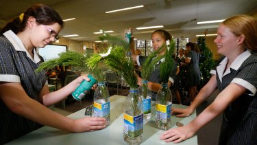 The students found hairspray, more than water and beer, kept the cut branches alive best.