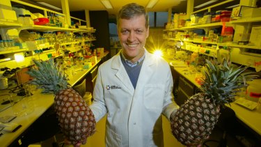 Biochemist Professor Rob Pike says enzymes found in pineapples can cure diarrhoea in piglets, reducing the reliance on antibiotics.