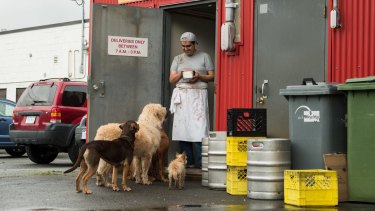 A Dog S Way Home Review Four Legs Good In Corny But Heartfelt