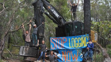 The activists successfully stopped the logging in Helms Forest, near Nannup, on Monday. 
