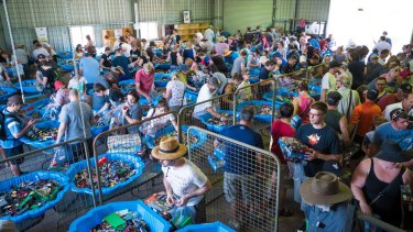 Huge lego sale at The Green Shed brings hundreds of people. Photo: Dion Georgopoulos