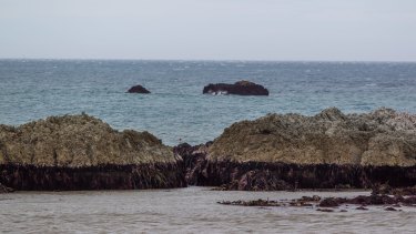 New Zealand Earthquake Raised Seabeds By More Than A Metre Monday morning's quake has lifted the seabed around kaikoura by at least a metre, scientists have confirmed. new zealand earthquake raised seabeds