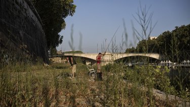 Men fish along the overgrown banks of the Tiber River in Rome this week. 