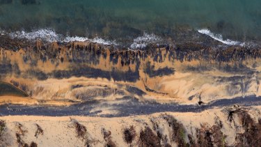 Coal dust on beaches next to Queensland's Abbot Point coal loading facility, which would serve Adani's proposed mine: if the mine is built, 'it will be the biggest subsidised white elephant in the world,' says Thornton.