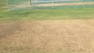 Australia v India Test series 2017: Pitch given 'poor ...
