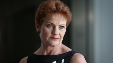 Pauline Hanson's One Nation holds four seats in the new Senate.