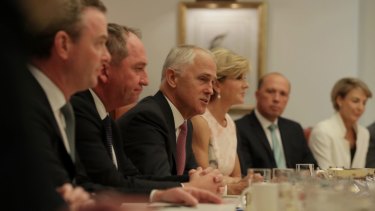 Malcolm Turnbull's cabinet has rallied behind his definition of the Liberal Party. 