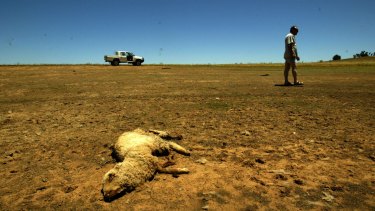 Rising temperatures and shifting rainfall patterns are likely to hit Australian farming hard.