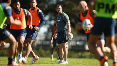 Preparations in full swing: Wallabies coach Michael Cheika watches on during the training session at Kippax Lake.