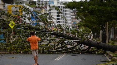 A resident takes a photo of a fallen tree brought down by Cyclone Marcia in Yeppoon.