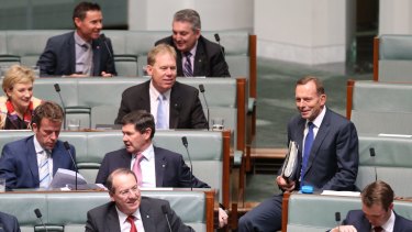 Former prime minister Tony Abbott may be on the backbench but he's not staying silent.
