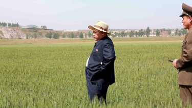 North Korean leader Kim Jong Un visits Farm 1116 in an undated photo released by North Korea's news agency.