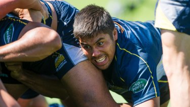 Brumbies Workhorse Jarrad Butler Picks Wallabies Coach Michael Cheika S Brain
