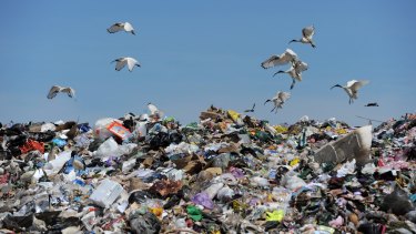 The residents of eight Perth councils will no longer be sending up to 250,000 tonnes of waste to landfill each year. 