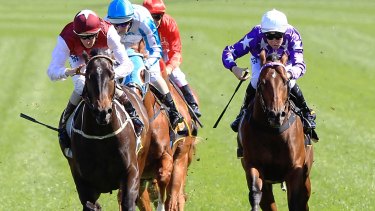 Punters Slam Telstra Over Thoroughvision Refund Debacle Daily wrap of everything in thoroughbred racing. sydney morning herald