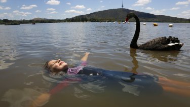 Hazard warnings have been issued about swimming in Lake Burley Griffin. 
