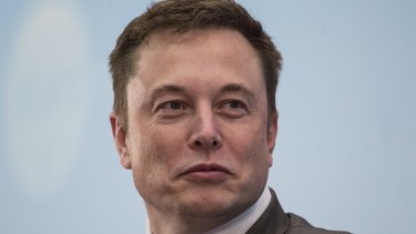 Battery saviour? Telsa chief Elon Musk.