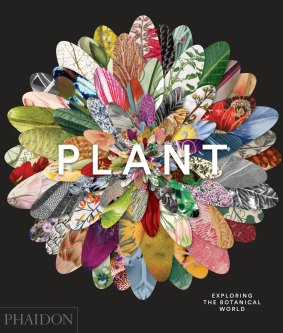 <i>Plant: Exploring the Botanical World</i> is a book worth hanging on to.