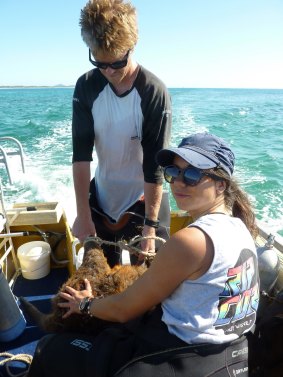 Laura Sanchez Peregrin and Jesse Madden with the rescued wallaby.