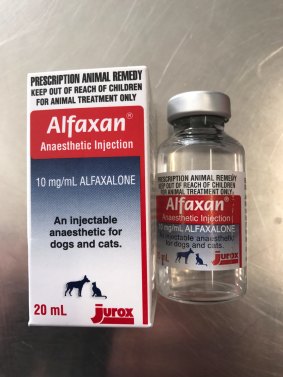Alfaxan is a steroid and anasthetic for animals.