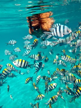 Snorkelling in El Nido.