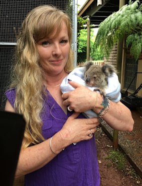 Search for stolen koalas reaches fourth day, situation 'becoming desperate'