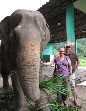 The plight of meth-addicted Asian elephant Mae Tee inspired Gold Coast couple Di Coulthard and Steve Franklin to devote their lives to abused elephants.
