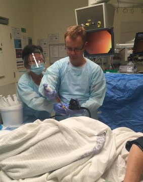 Dr David van der Poorten performs a transplant at Westmead Hospital.