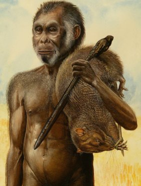 An artist's impression of Homo floresiensis.