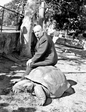 Movie director Alfred Hitchcock at Taronga Park zoo in 1960.