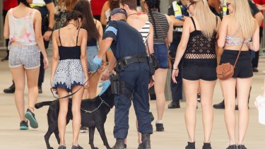 Police with sniffer dogs searched patrons before entry into the Stereosonic music festival in Melbourne. 