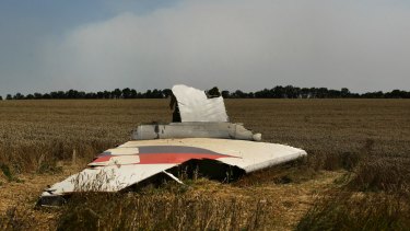 mh17 did fighting smoke