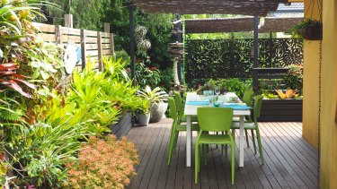 In Peter Nixon's garden, the deck is edged with easy-care bromeliads.