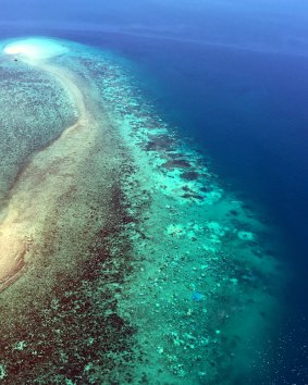 Coral bleaching off northern Australia during the 2016 summer.