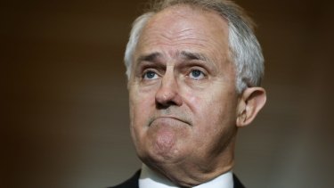 Communications Minister Malcolm Turnbull says the attraction of a free vote for MPs on same-sex marriage was that it would resolve the issue before the election.