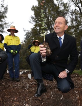 Tony Abbott at a Green Army project in 2015.