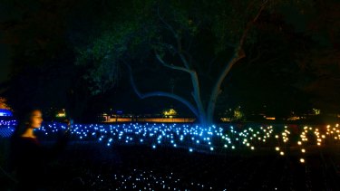 Oasis is a sea of dancing lights in the Royal Botanic Garden.