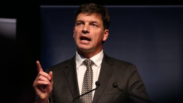 Going to market: Assistant Minister for Digital Transformation Angus Taylor. 