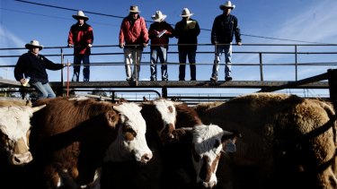 Australian beef exporters are expected to fight hard for the deal.