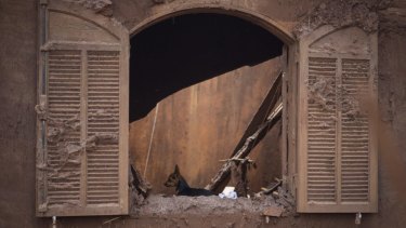 A dog is seen in a destroyed house at the town of Bento Rodrigues after two dams burst, in Minas Gerais state, Brazil.