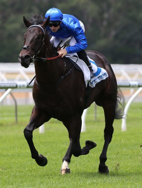 Exosphere, one of the 'famous five' lining up for the Black Caviar Lightning Stakes at Flemington on Saturday. 
